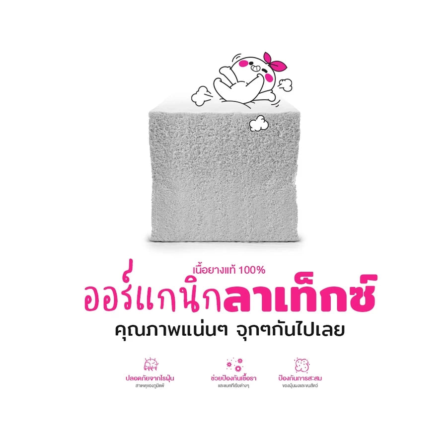 หมอนยางพารา รุ่น Durian