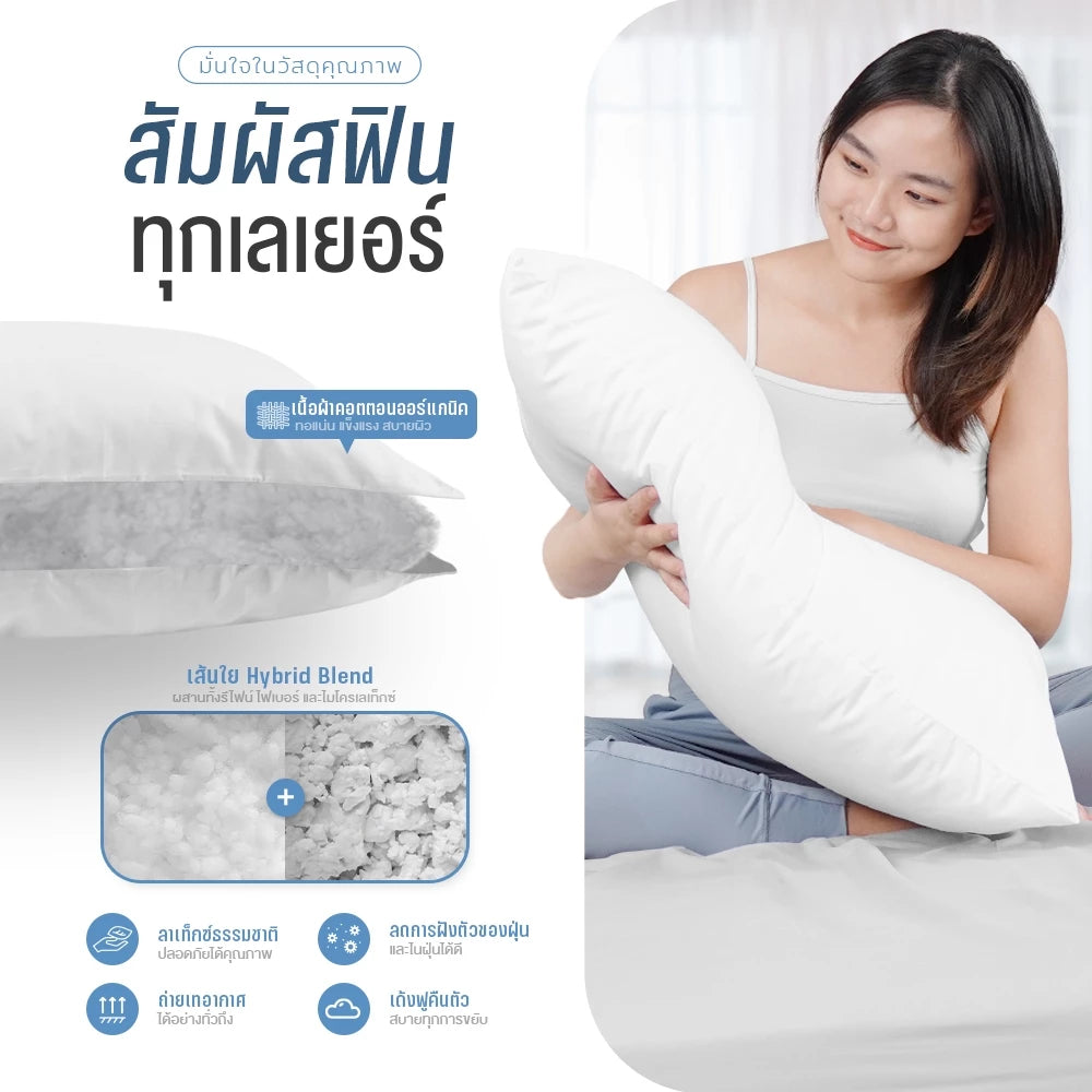 หมอนยางพาราไฮบริด รุ่น Hybrid Plus
